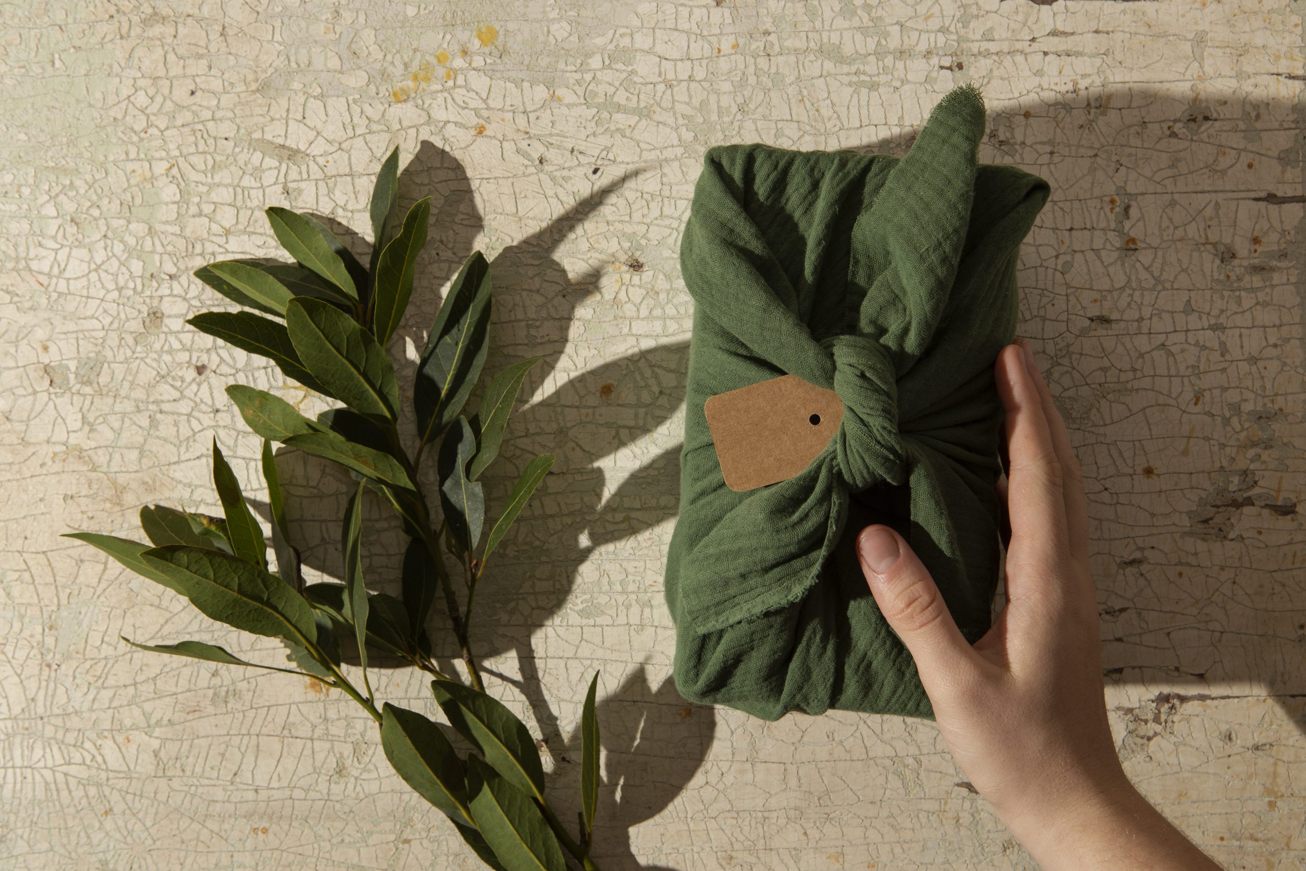 La moda ecológica